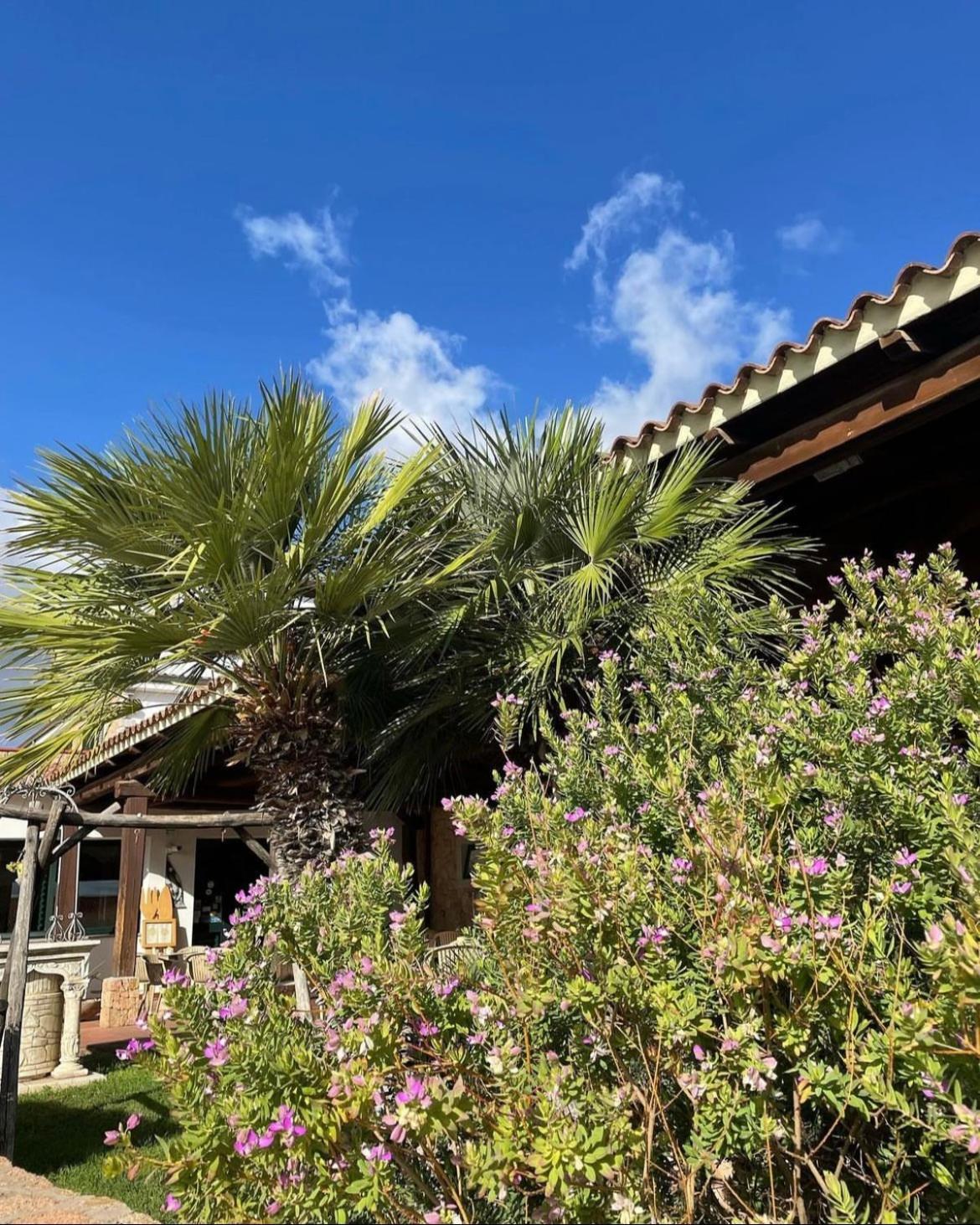 Hotel La Ciaccia Valledoria  Εξωτερικό φωτογραφία